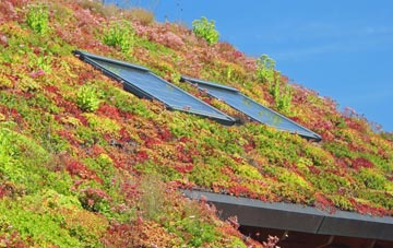 Charlton Park living roof systems